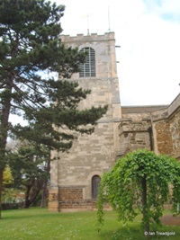 Biggleswade - St Andrew. West tower from the south.